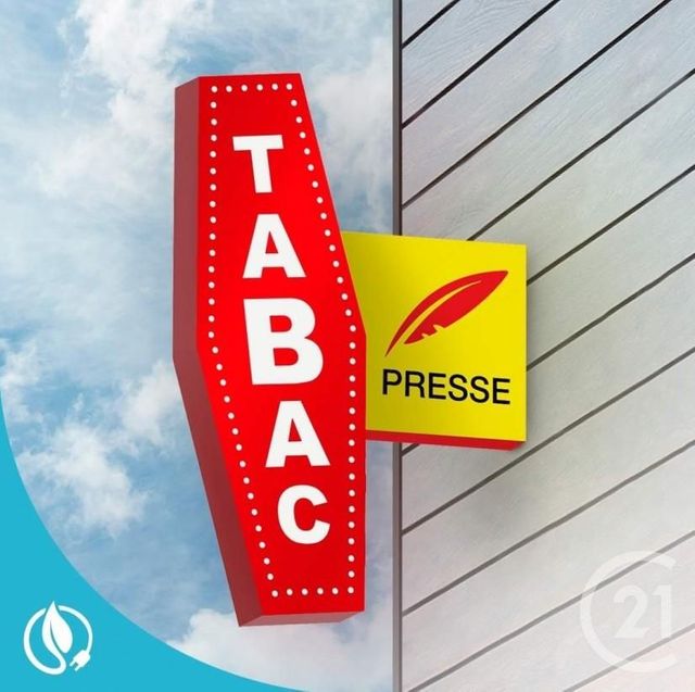 commerce à vendre - 168.0 m2 - SAMOENS - 74 - RHONE-ALPES - Century 21 Cd Immo